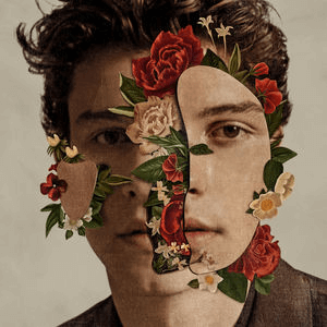 Shawn_Mendes_-_Shawn_Mendes_(Official_Album_Cover)